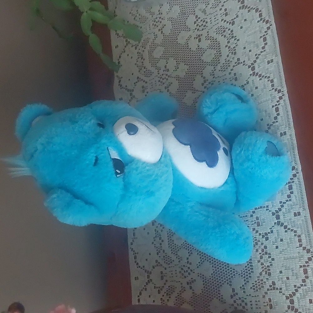 2020 Basic Fun Carebears Grumpy Bear Plush 13" - Picture 13 of 16